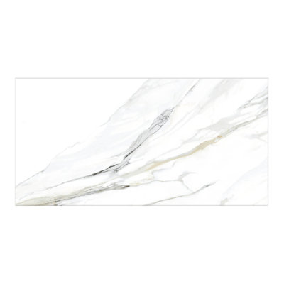 Venataro 24x48 Polished Natural Stone/ Marble Large Format Porcelain Floor and Wall Tile