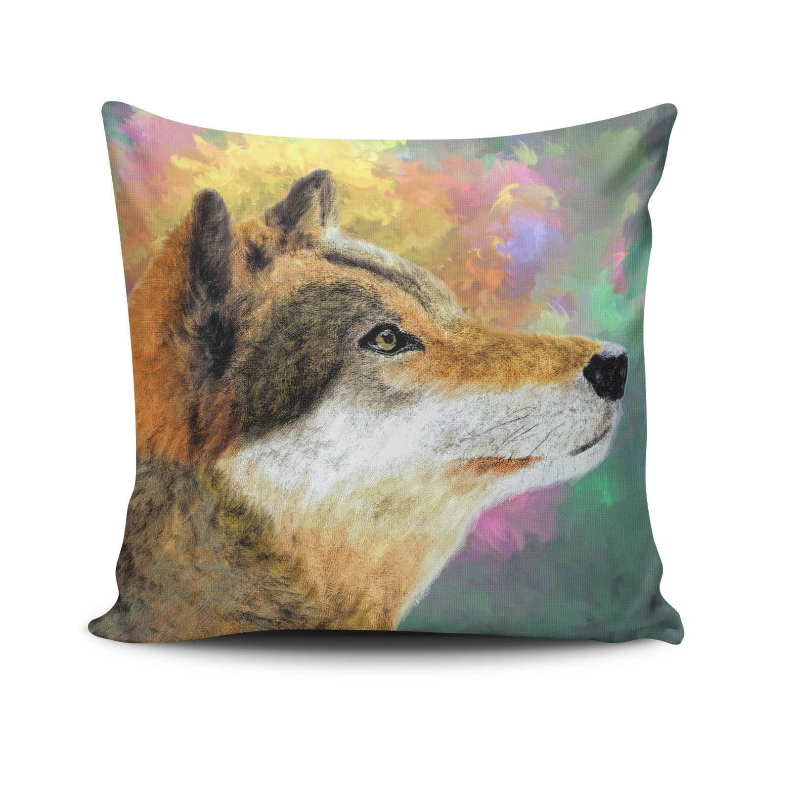 Surcie© 22 inch Square Outdoor Pillow Set of 2 main image 0
