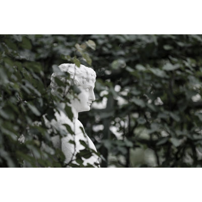 Garden Seer Print by Thom Filicia