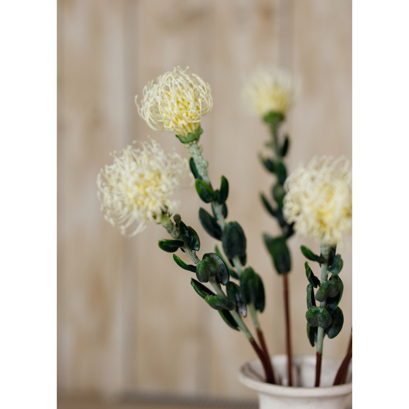 Pincushion Protea Spray, Cream