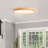 1-White LED dimmable ceiling light