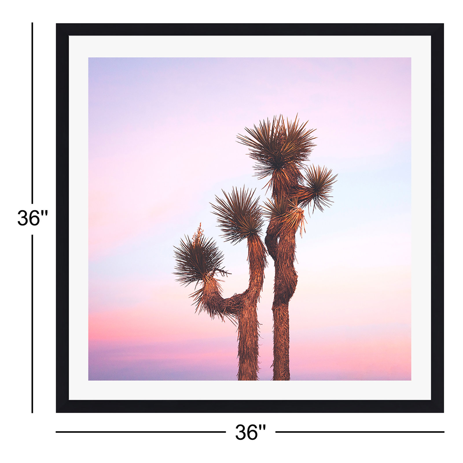 Desert Skies by Catherine McDonald, 36" H x 36" W x 2" D, Black Floater Framed, No
