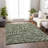Premium Machine Washable Harsukhman AMF111 Green Rug-1427279400