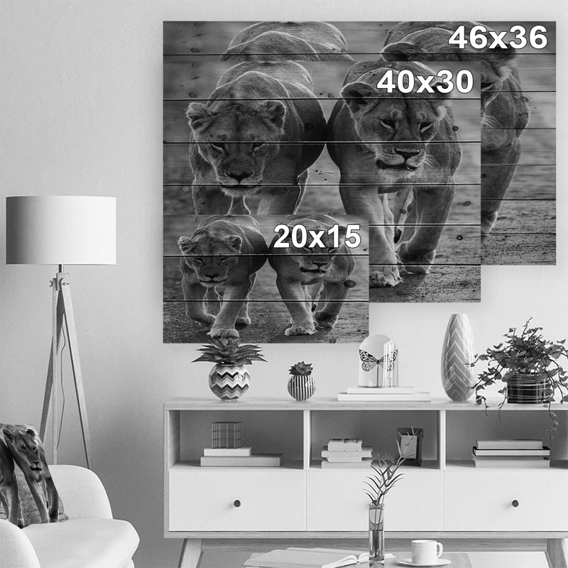 Photographie "lions en noir et blanc" à l’animal, H 36 po x l 46 po x P 1,5 po, Bois