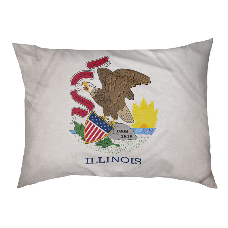 Coussin créateur pavillon illinois Burien, Marron foncé, L 42 po x l 52 po