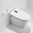 19"H Smart Toilet with 4-Season Temperature Heated Seat, Auto Open/Close, Auto Flush, Female/Rear Wash with 4-levels Adjustable Warm Air Dryer-121543034