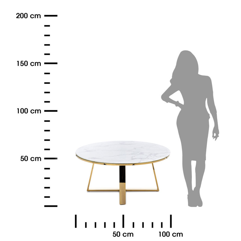 Danika Solid Coffee Table with Storage