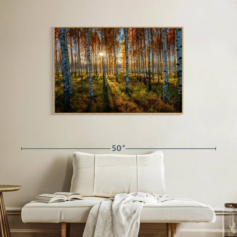 Forêt de bouleaux suédois, Cadre flottant en bois naturel, 40 po x 27 po
