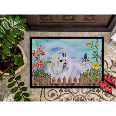 Non-Slip Outdoor Doormat