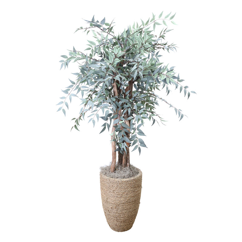 6.5' Faux Italian Ruscus Tree in Seagrass-Wrapped Pot, 58" H x 37" W x 37" D