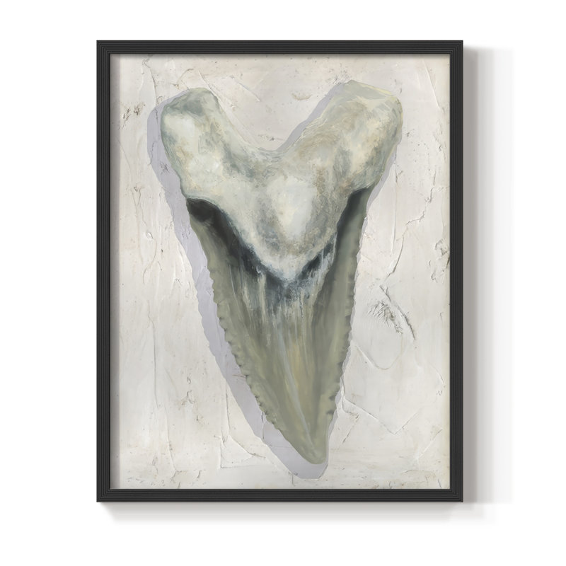 Watercolor Sharks Tooth II Framed Print - Solid Wood, 21" H x 17" W, Black Framed