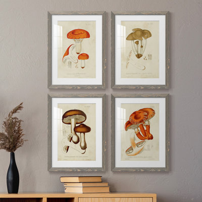 Champignon Variétés