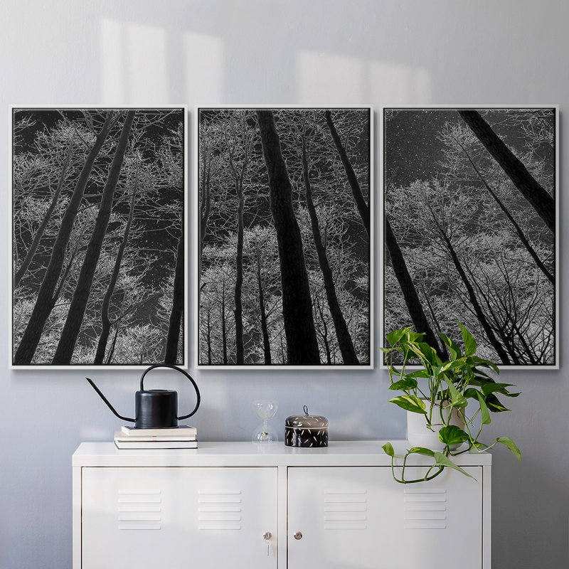 Ciel nocturne encadré sur toile, 3 pièces, H 36 po x l 75 po x P 2 po, Blanc