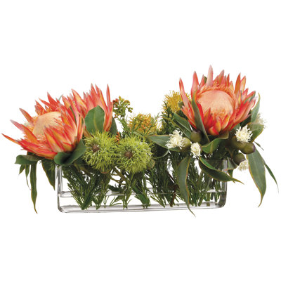 Protea/eucalyptus dans un vase en verre
