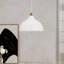 1 - Light Natural Dome Pendant