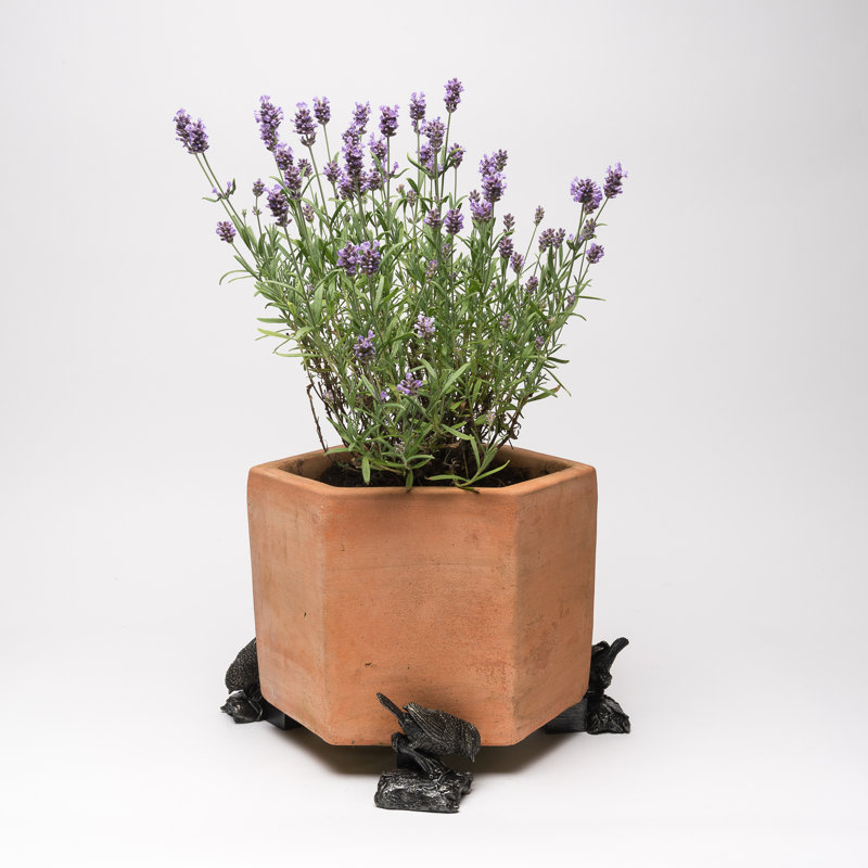 Jill Weather Resistant Planter Feet