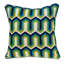 Coussin Parkland-1855640729-1764908484