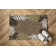 Springcreek Indoor / Outdoor Rug