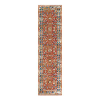 Outdoor Traditional Area Rug