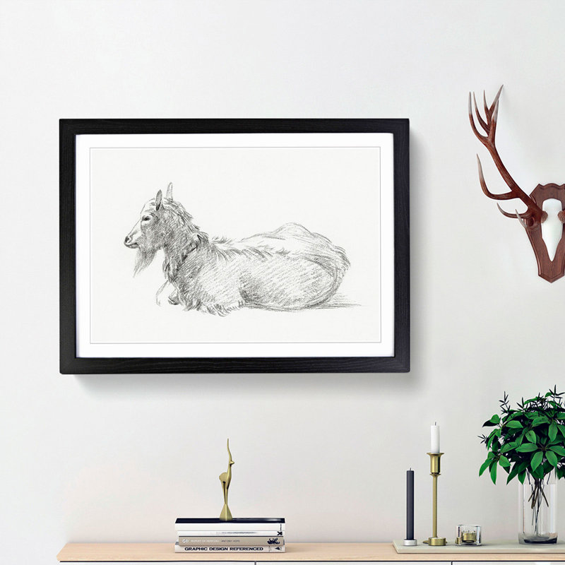 A Resting Goat by Jean Bernard - Single Picture Frame Print, Black Framed, 45cm H x 63cm W x 2cm D