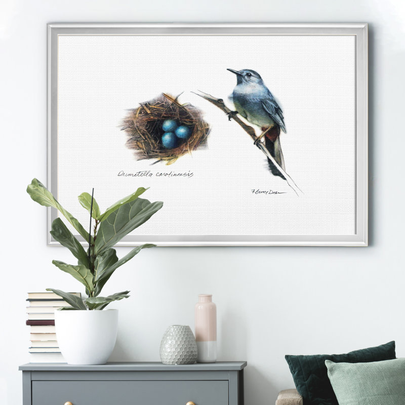 «Bird & Nest Study II», impression sur toile encadrée, Argent, H 18,5 po x l 24,5 po x P 1,5 po