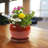 Handmade Ceramic Pot Planter