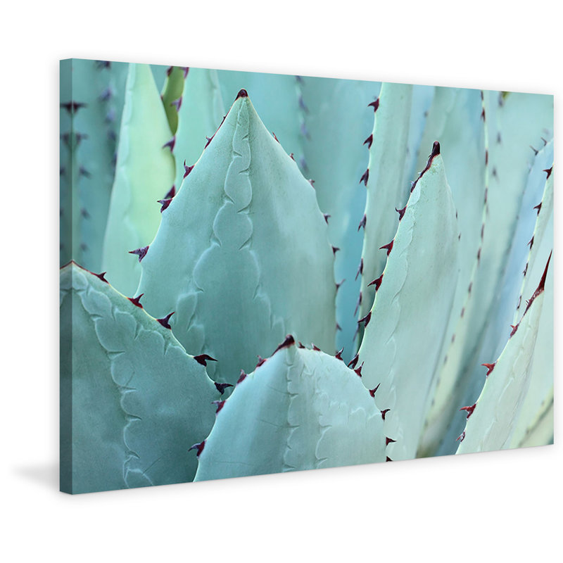 Wrapped Canvas Print, 30cm H x 45cm W x 3.81cm D