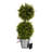 8.5'' Faux Boxwood Topiary in Pot