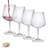 Plastic Wine Glasses Set of 4