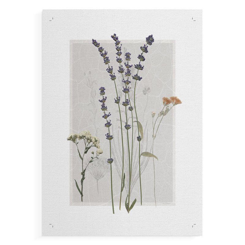 Field Study Page I -Canvas Print Only - NOT FRAMED