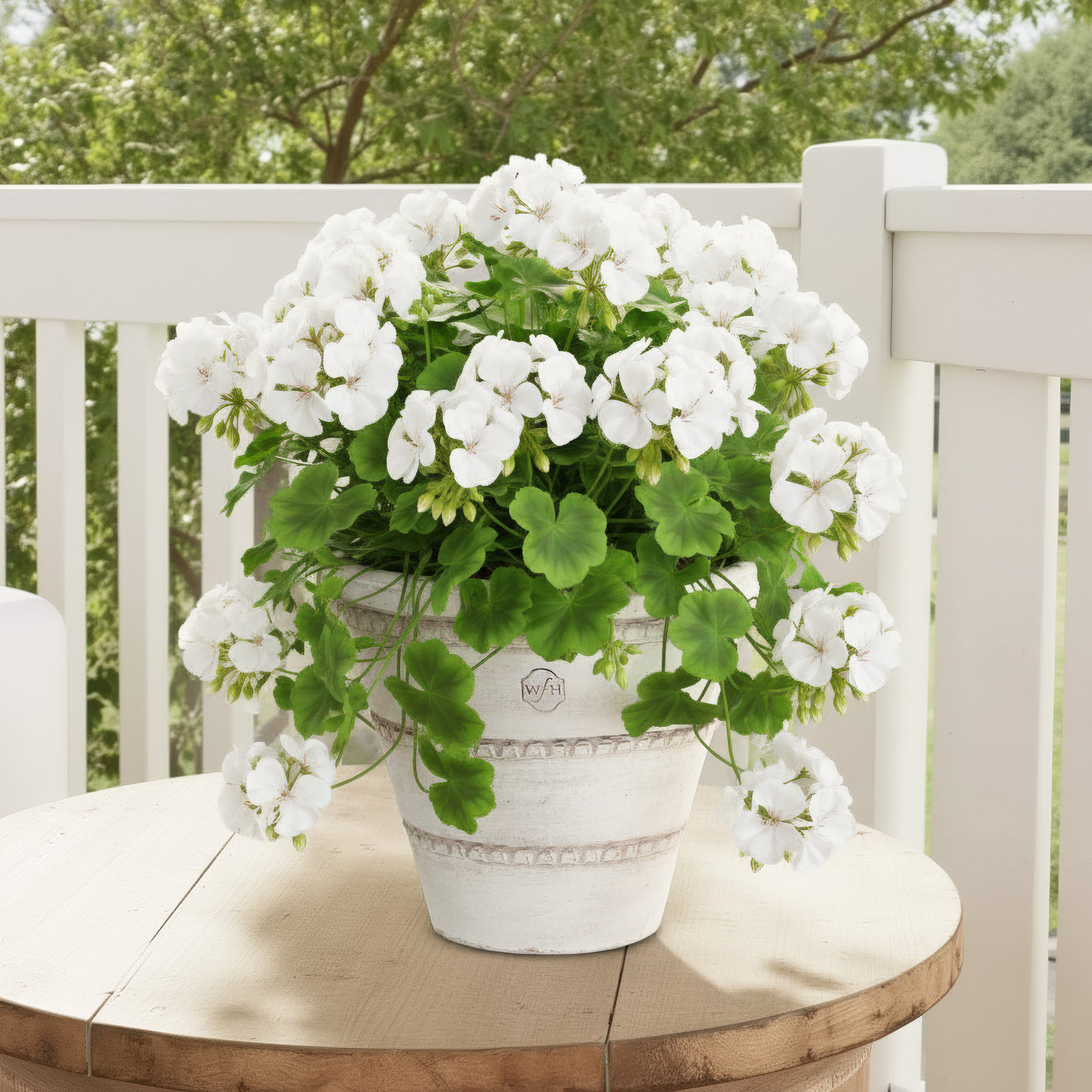 Griffith Handmade Clay Pot Planter