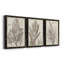 «Sepia Exotic Plants I», ensemble de 3 peintures sur toile encadrées-2017768721-2017768720