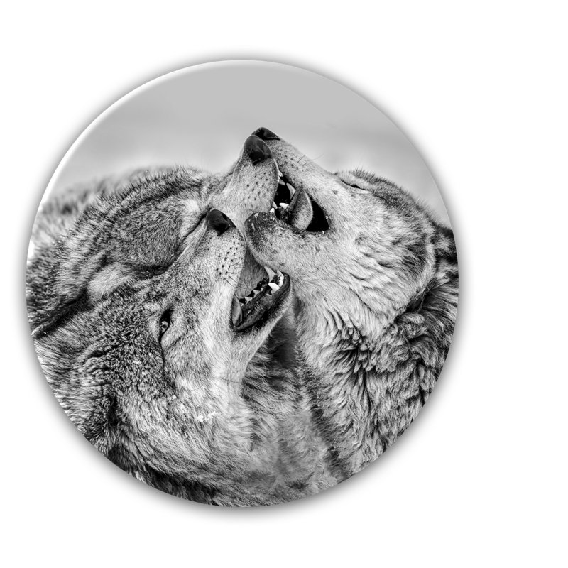 Glasspik Ring Art - No Frame Print