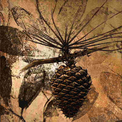 Pinecone 3 - Impression sur toile tendue