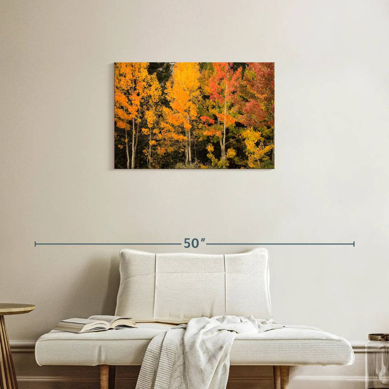 Harnek Aspen aux teintes d'automne