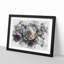A Crisp White Rose Watercolour - Picture Frame Graphic Art Print-56740549-56740546