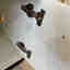 Customer photo 2 of 4