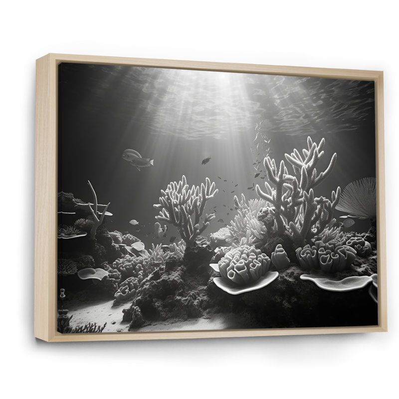 «Black and White Coral Ballet», reproduction d'art sur toile, H 34 po x l 44 po, Cadre naturel flottant