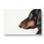 Dachshund Dog - Wrapped Canvas Painting-55342786