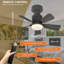 Skylan 45cm 5 - Blade E27 Socket Ceiling Fan with LED Light and Remote-45333073