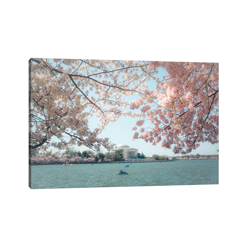«Washington DC Cherry Blossoms» par Ann Hudec, reproduction de photo sur toile tendue, H 12 po x l 18 po x 1,5 po