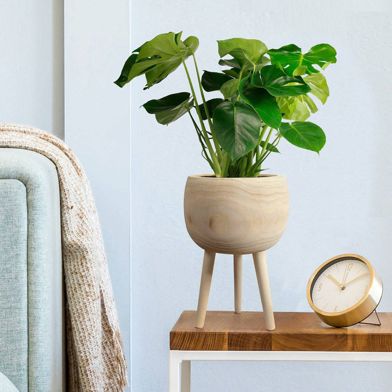 Wood Pot Planter, 36cm H x 23cm W x 23cm D