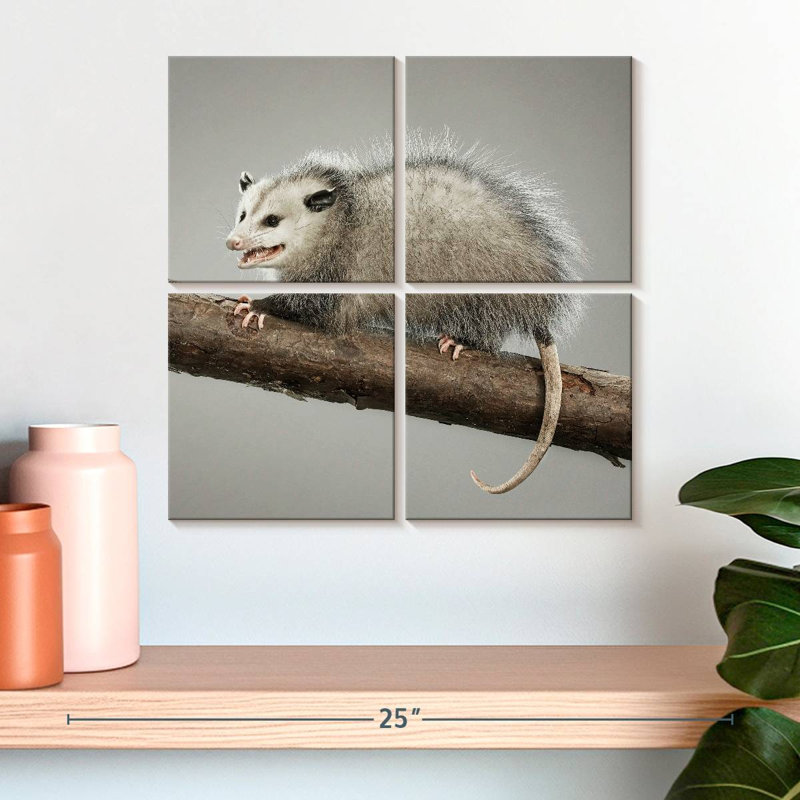 Bramoss Snarky Opossum, H 18 po x l 18 po
