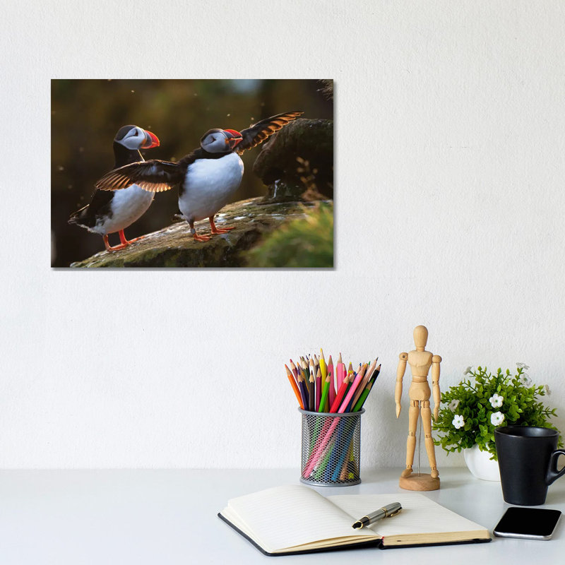 Puffins by Mateusz Piesiak - Wrapped Canvas Gallery-Wrapped Canvas Giclée, 20.32 cm H x 30.48 cm W