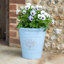 Dinardo Pot Planter-1955219778-1955219777