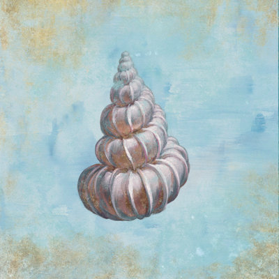 Treasures From The Sea II by Danhui Nai - Wrapped Canvas Painting