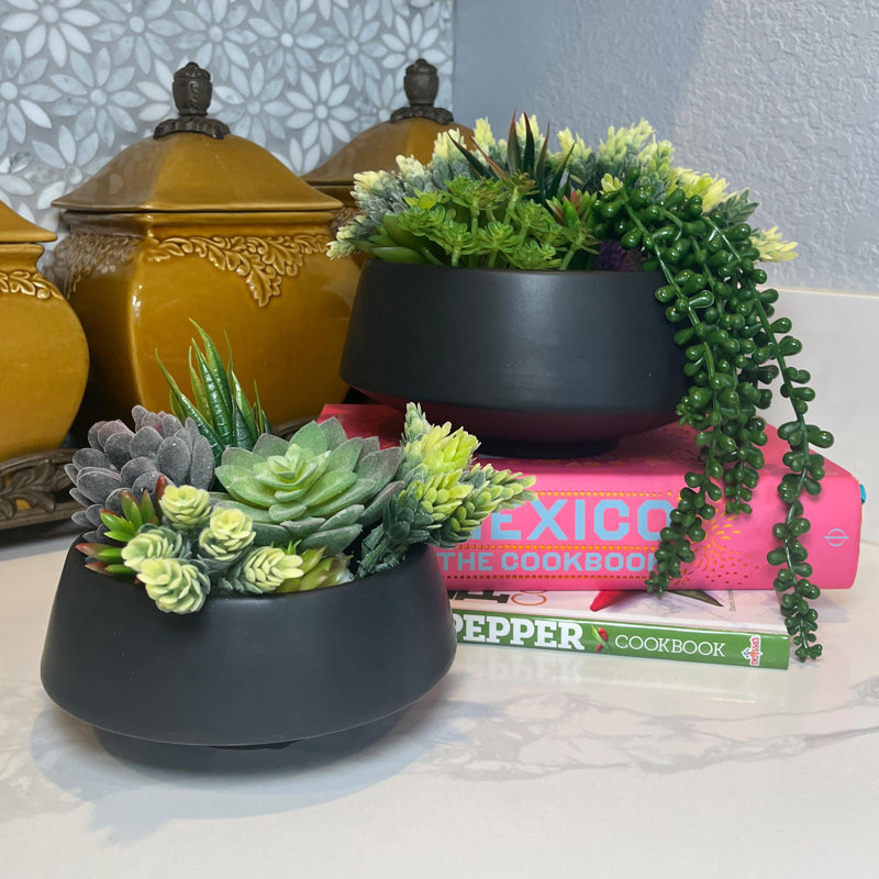 Black Ceramic Indoor Succulent Planters Set of Two