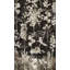 Midnight Garden I Print by Austin Beiv-26774254-26774255