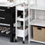 Wiese Cabinet Shelving Rack