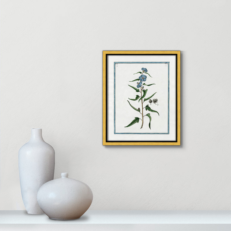 «Shabby Soft Shabby Elegance Botanical I» par Kelly Donovan, reproduction sur toile flottante, H 11,5 po x l 9,5 po x P 2 po